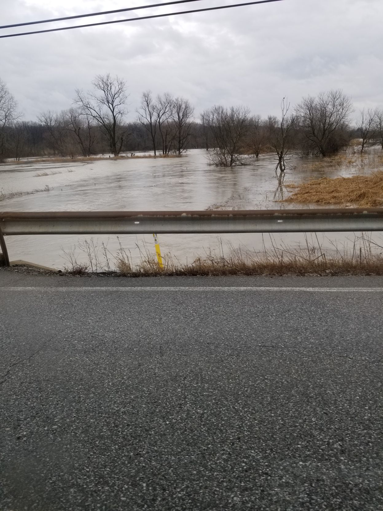 Flood